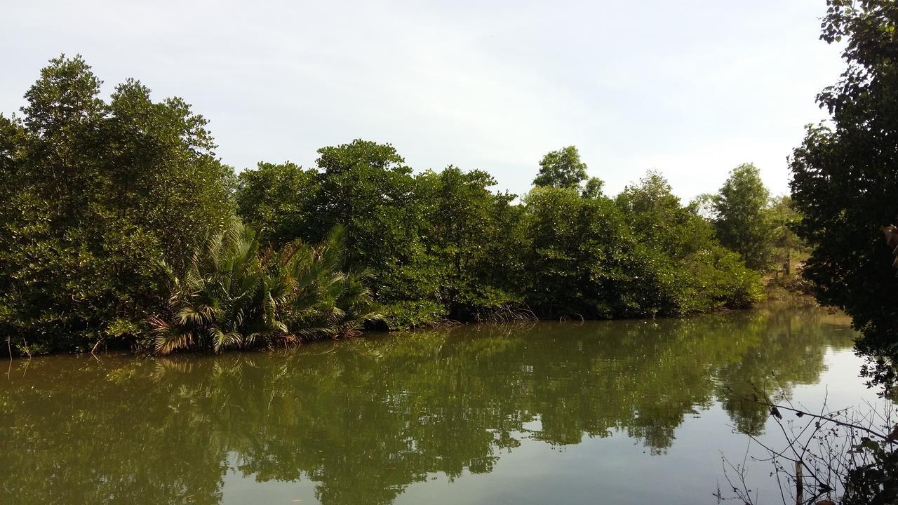 Mangroves & More @ Cambodia Sihanoukville Eksteriør billede
